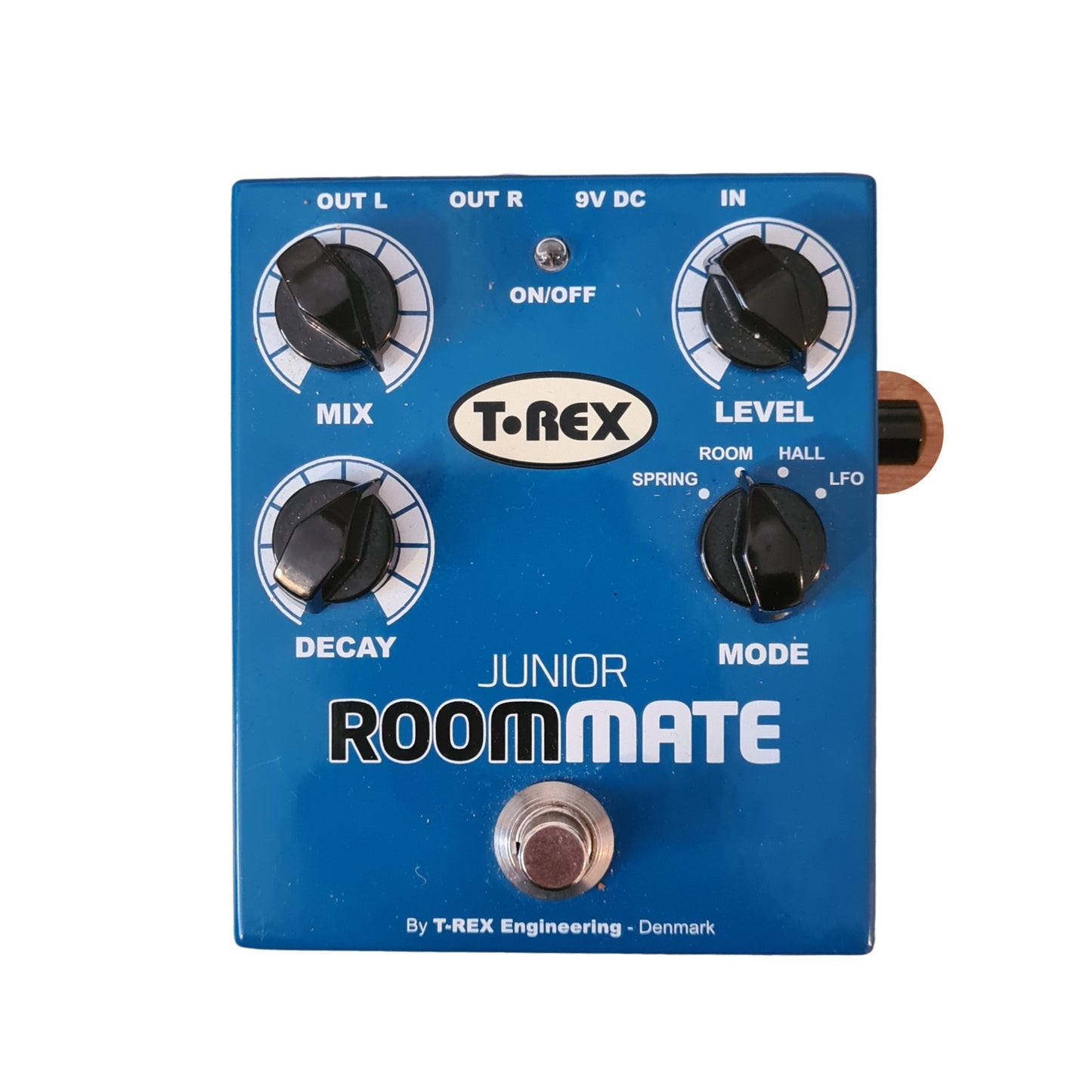 T Rex Room Mate Junior